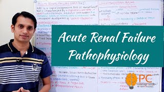 Acute Renal Failure Pathophysiology  Acute Kidney Injury AKI [upl. by Llennahc]