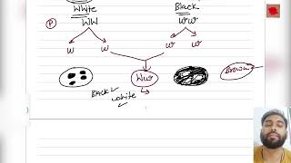 Incomplete DominanceCo DominanceMultiple Allele [upl. by Gareth]