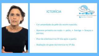 COMO IDENTIFICAR E TRATAR A ICTERÍCIA NEONATAL [upl. by Irpac]