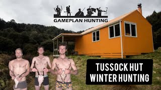 Winter Sika Hunting at Tussock Hut [upl. by Airamzul]