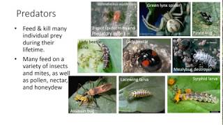 Biological Control Agents [upl. by Dauf]