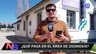 Continúan suspendidas las castraciones en el área de zoonosis [upl. by Goldia978]