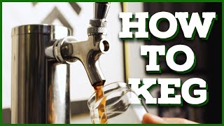 HOW TO KEG YOUR HOME BREW ft NewAir Single Tap Kegerator [upl. by Kelcie]