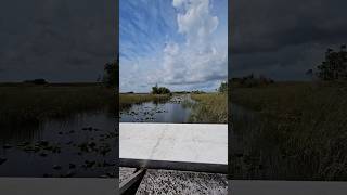 Best Airboat RideEverglades Safari Park [upl. by Sakhuja273]