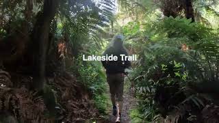 Morning lakeside trail run in Rotorua [upl. by Kallman]