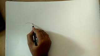 how to draw millipede diagram [upl. by Amees]