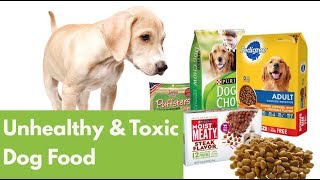 Worst Dog Food 14 Unhealthy amp Toxic Ingredients to Avoid [upl. by Edwin]