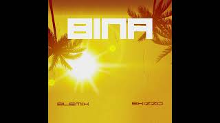 Blemix Feat SKIZZOTV  BINA [upl. by Iams]