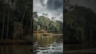 Sundarbans west bengals pride of Nature and Reservoir of biodiversityshortsfactssundarban [upl. by Annawot]