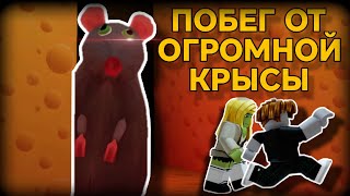 НУБ И ПРО СБЕГАЮТ ОТ СТРАШНОЙ КРЫСЫ  Cheese Escape [upl. by Ayouqes]