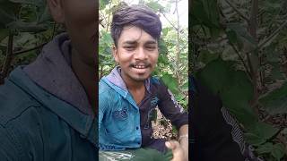 😭આ શૈલી ઘડી છે તને કાયમ માટે નડશે ભૂલ Jagdish rathva short video 2025 Jayesh Bhuriya bewafa short [upl. by Eniluap]