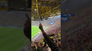 Dortmund vs Atlético I FAN HIGHLIGHTS I Champions League Viertelfinale April 2024 [upl. by Keeler461]