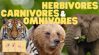 ASL Herbivores Carnivores and Omnivores for Kids [upl. by Ydoc]