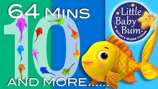 Learn with Little Baby Bum  Counting Fish  Nursery Rhymes for Babies  Songs for Kids [upl. by Maher]