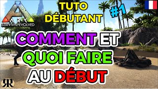 TUTOGUIDE COMMENT XP VOS DINOS RAPIDEMENT  ARK Survival Evolved [upl. by Lleirbag805]