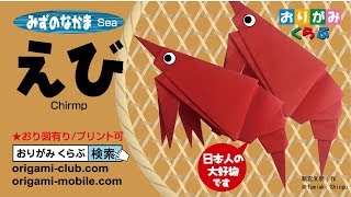 簡単折り紙★ エビ（海老）の折り方 ★お祝い席の飾りにも｜Origami Shrimp [upl. by Hertberg]