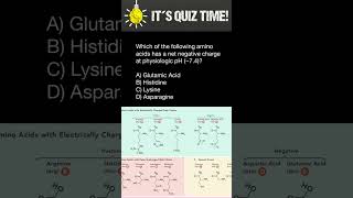 Amino acids quiz [upl. by Ecnaralc]