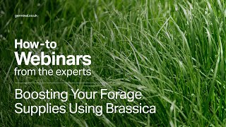 Webinar Boosting Your Forage Supplies Using Brassica Crops [upl. by Namyl954]