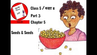 Seeds and Seeds Chapter 5 Class 5 EVS NCERT Lesson 5 Part 3 Hindi Explanations amp Question Answer [upl. by Yeslrahc]