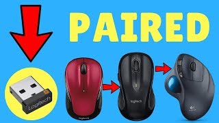 How To Pair Logitech Unifying Receiver With Mouse And Keyboard  Logitech  Get Fixed [upl. by Rriocard]