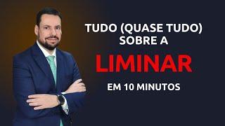 TUDO QUASE TUDO SOBRE A LIMINAR EM 10 MINUTOS [upl. by Bacon209]