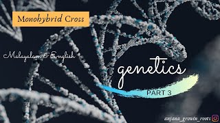 Monohybrid cross  Malayalam  Genetics 6th Semester  Degree  NEET Biology [upl. by Hunfredo943]