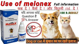 Melonex oral suspension  Dog or cat  कितनी ml दे। क्या क्या use आती है । Full information [upl. by Buff357]