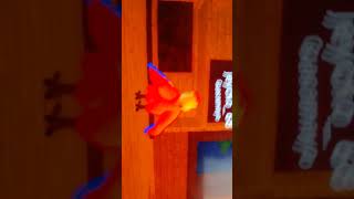 Macaw dancing in feather family Roblox [upl. by Ambrogino926]