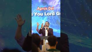 Agnus Dei shortvideo agnusdei worshipsongs [upl. by Nostets]