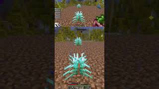 Plantando berries enquanto nosso Poliwhirl cria chuva pixelmonmod pixelmon minecraft mods chill [upl. by Darraj]