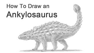 How to Draw an Ankylosaurus [upl. by Oileduab]