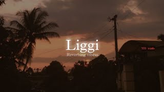 Liggi Slowed  Reverbed  Ritviz [upl. by Saerdna986]