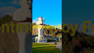 Montmorency falls shortsfeed viralvideo travel waterfall canadatourism youtube yshort quebec [upl. by Nileuqay240]