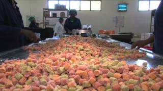 The dried fruit factory process [upl. by Derrik]