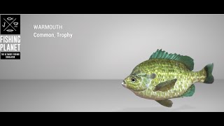 Fishing Planet  Quanchkin Lake  Trophy  Warmouth  Float [upl. by Merc]