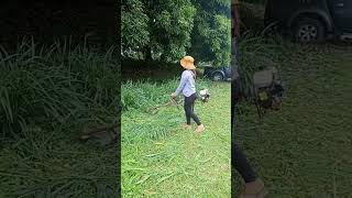 satisfyingsound nag Grass cutter si batanguenashort trendingvideoasmr [upl. by Jocelin]