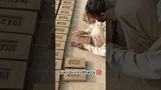 Hands bricks making brick brickshouse brickkiln kiln brickmanufacturing bricksmaking [upl. by Angrist344]