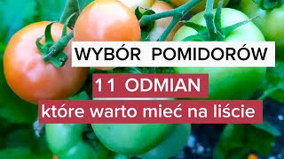 Wybór Pomidorów 🍅🍅🍅 11 odmian które warto mieć na liście [upl. by Aisatana]