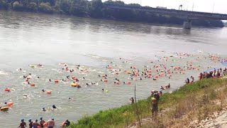 Bratislava plávanie cez Dunaj  Trans Danube Swim 2024 [upl. by Ozner]