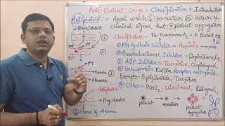 Anti Platelet Drug Part 01 Introduction amp Classification of Antiplatelet Drugs  Antiplatelet Drug [upl. by Einot847]