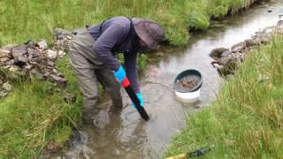 Gold Panning Lead Hills Wanlockhead Scotland Part 2 [upl. by Lipscomb]