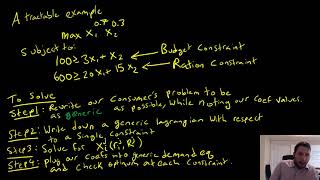 Utility Maximization with Multiple Constraints Example 1 [upl. by Ayatal]