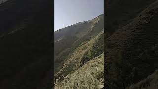 AT THE UPPERMOST LEVEL⛰️youtubeshorts shortsfeed nature kashmir explore trendingshorts [upl. by Winni]