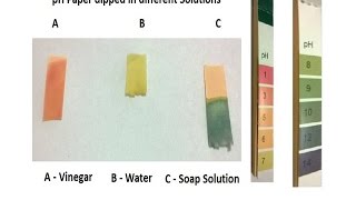 Hydrion Water Finding Paper  Micro Essential Lab [upl. by Sollars]