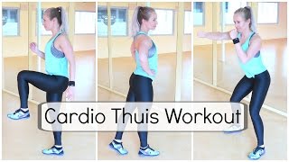 30 min Cardio Workout Afvallen Conditie en Vetverbranden [upl. by Waldner]