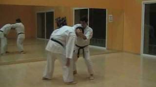 bunkai tekki nidan [upl. by Fredela]