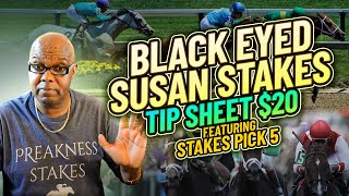 Sneak Peek At 2024 G2 Black Eyed Susan Stakes Preview  Pimlico 5172024 Preakness Stakes Weekend [upl. by Asirrac591]