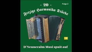 Ausflug zur Sennerin  Neuneralm Musi  20 fetzige Harmonika Stücke  Folge 2 [upl. by Nnailuj]