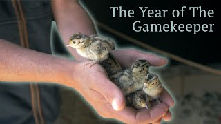 Year of the Gamekeeper  Part 2 [upl. by Einra]