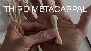 THIRD METACARPAL [upl. by Beard]